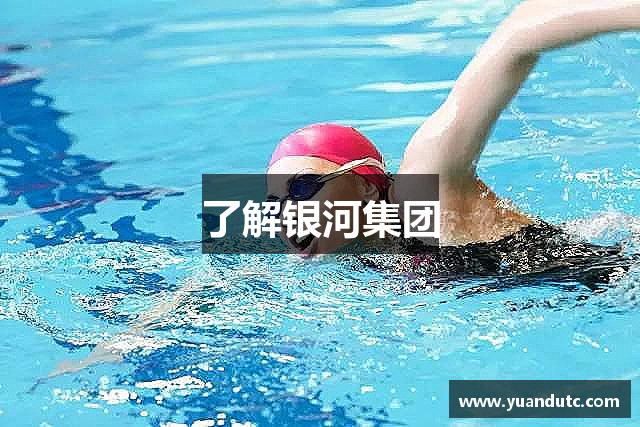 了解银河集团